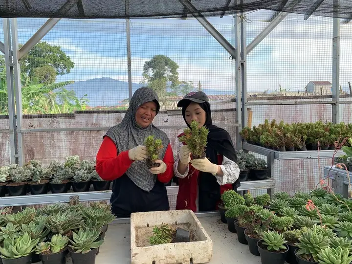 Artikel KKN Universitas Al Ghifari: Menggali Potensi Ekonomi Kreatif Desa